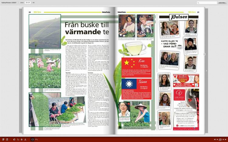 wuyishan tea Article in Swedish newspaper